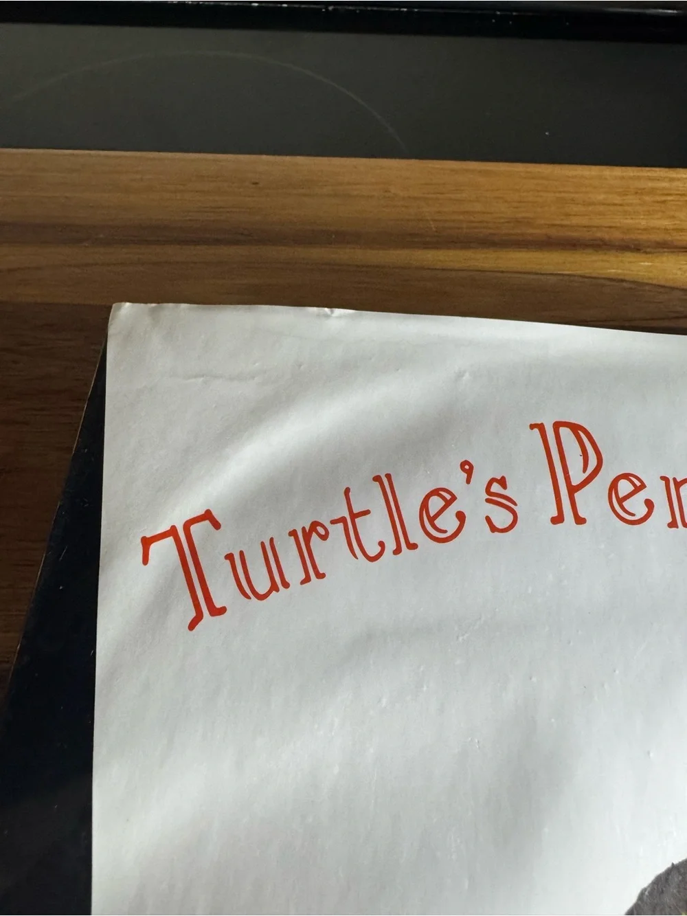 Turtle's Penguin Day Notebook - Black & White Cover
